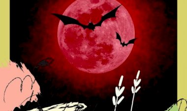 JANJI BULAN BERDARAH