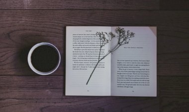 Tell Me a Happy Ending Story