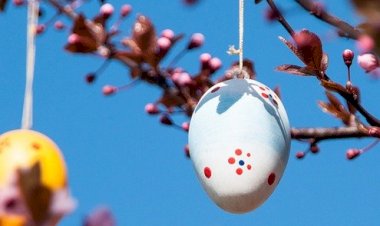 Bola-bola cinta dalam Pohon Telur