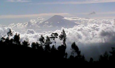 Keniscayaan: Pemaafan, Penyintas, Damai