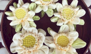 #BEYOUTHEEFULL (janmadin mubaarak Lily)