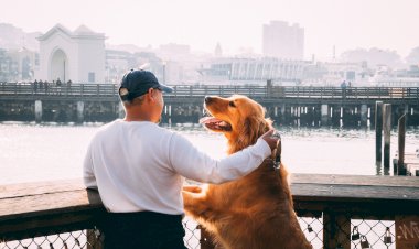 Perbedaan Manusia dan Binatang