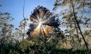 TAKPUNG, SANG PEMBUNUH KATA-KATA
