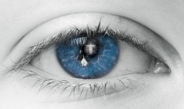 Bahasa Kalbu Untuk Lelaki Pertamaku