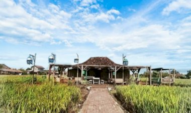 Hubungan Emosional antara Kata dan Penulisnya