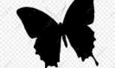 Peduli walau Terdistraksi