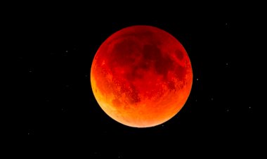 Lucan Moonfang (Intro)