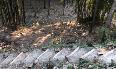 JANGAN KAU PAKSA TUHAN