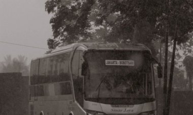 Kenapa Bus Jadi Pilihan Terbaik untuk Mudik?