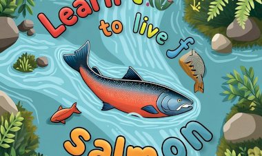 Belajar Hidup dari Salmon