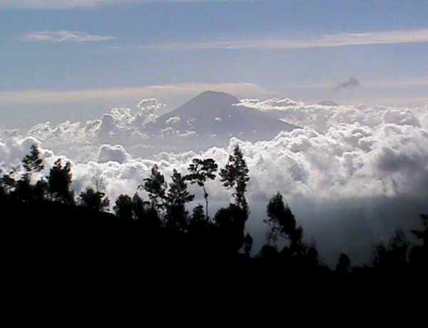 Keniscayaan: Pemaafan, Penyintas, Damai