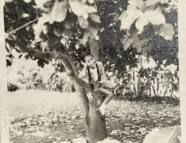 Anak Bawang