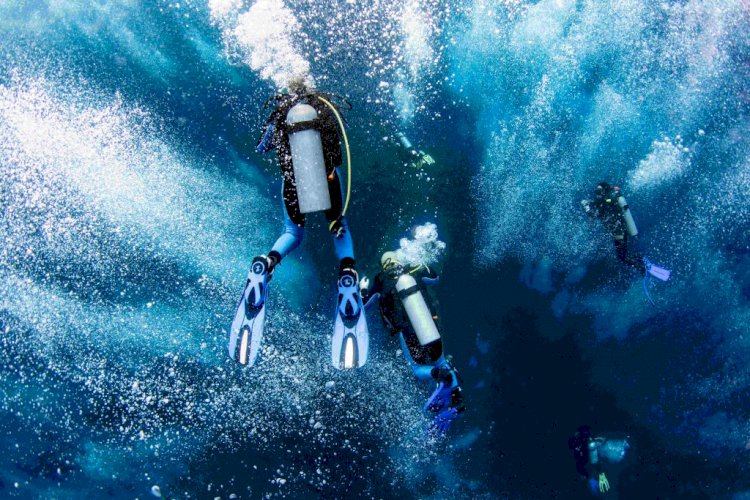 Alasan Orang Takut Untuk Mencoba Diving