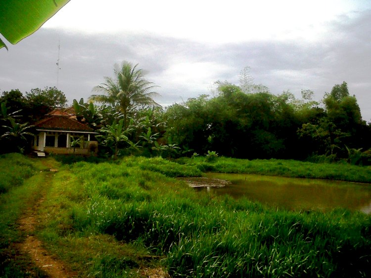 Surau Kecil di Kampung Kami