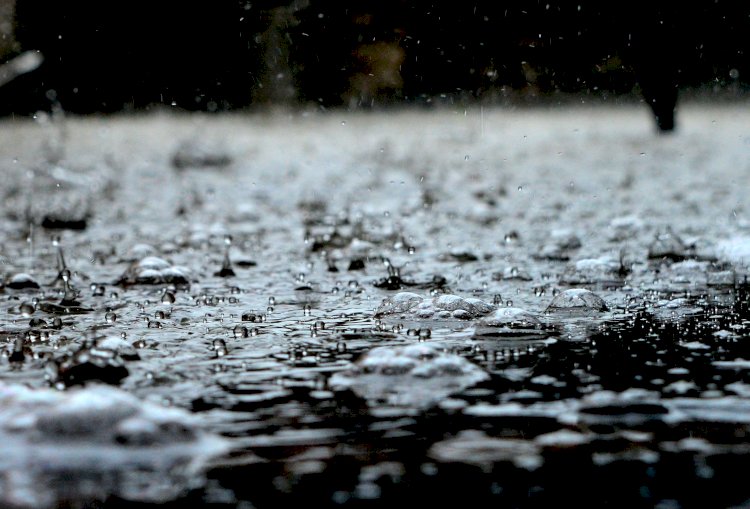 Hujan yang Terlambat Datang di bulan Desember | Mendamba Pingkan ~ 1