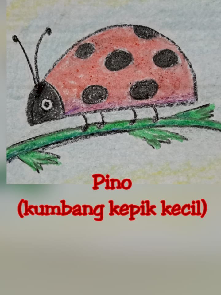 PINO