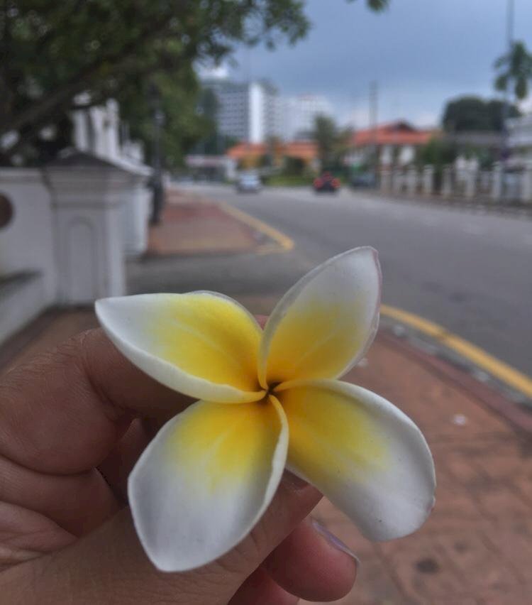 Sepucuk Surat untuk Ibu