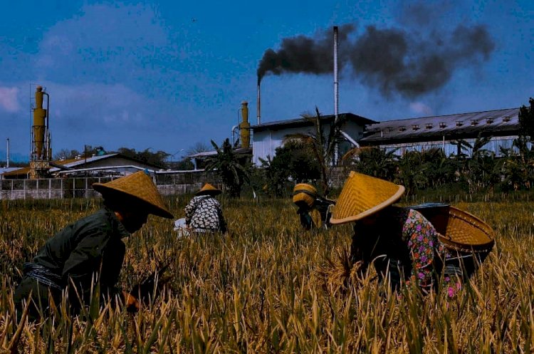 Pecundang negeri