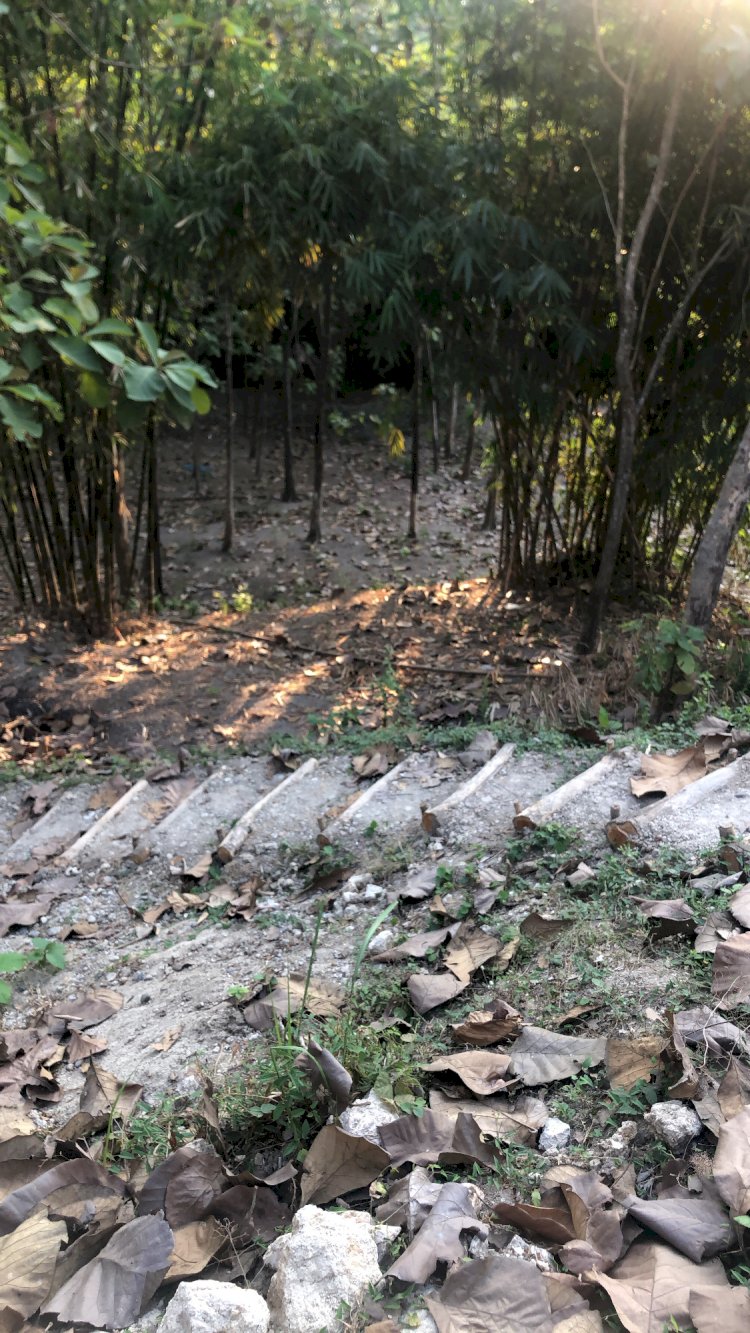 JANGAN KAU PAKSA TUHAN