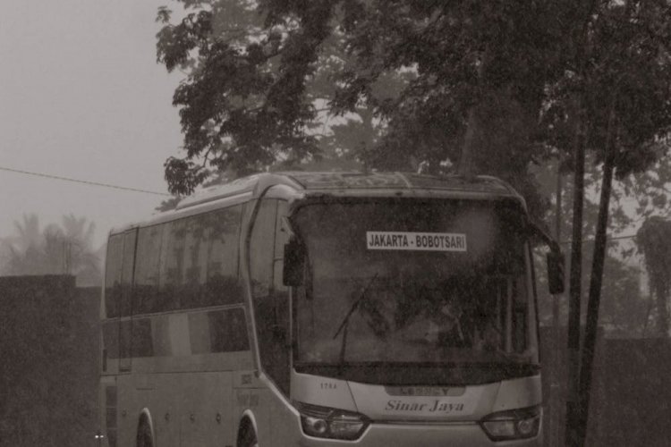 Kenapa Bus Jadi Pilihan Terbaik untuk Mudik?